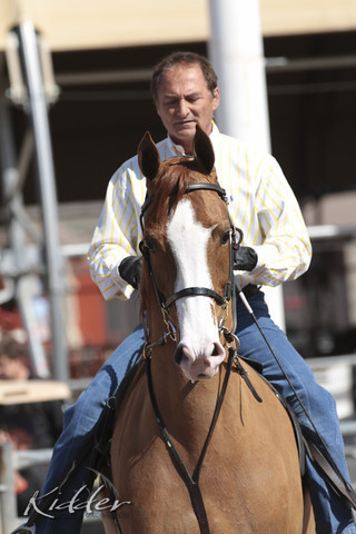 2012 Scottsdale Show Photos | Kidder Equine