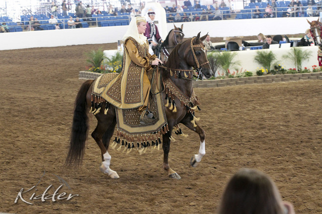 2012 Scottsdale Show Photos | Kidder Equine