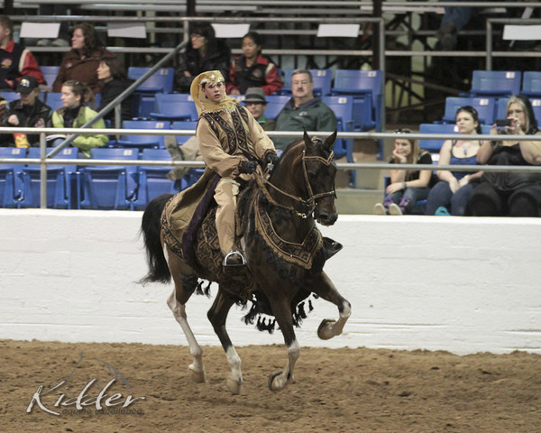 2012 Scottsdale Show Photos | Kidder Equine