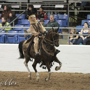 2012 Scottsdale Show Photos | Kidder Equine