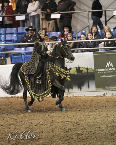 2012 Scottsdale Show Photos | Kidder Equine
