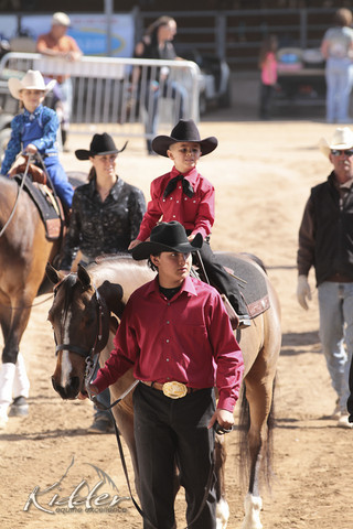 2012 Scottsdale Show Photos | Kidder Equine