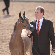 2012 Scottsdale Show Photos | Kidder Equine