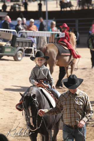 2012 Scottsdale Show Photos | Kidder Equine