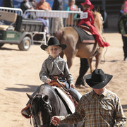 2012 Scottsdale Show Photos | Kidder Equine