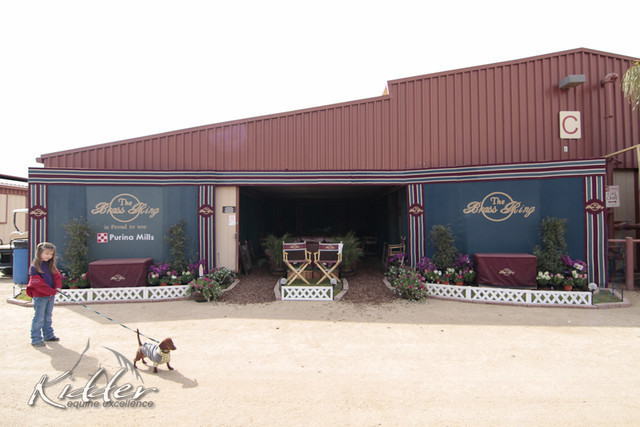 2012 Scottsdale Show Photos | Kidder Equine