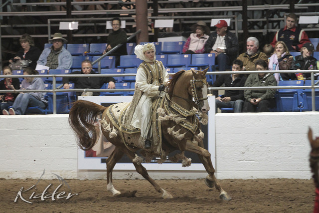 2012 Scottsdale Show Photos | Kidder Equine