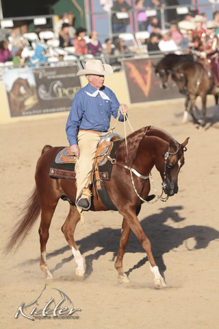 2012 Scottsdale Show Photos | Kidder Equine