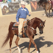 2012 Scottsdale Show Photos | Kidder Equine