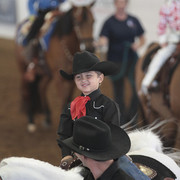 2012 Scottsdale Show Photos | Kidder Equine