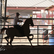 2012 Scottsdale Show Photos | Kidder Equine
