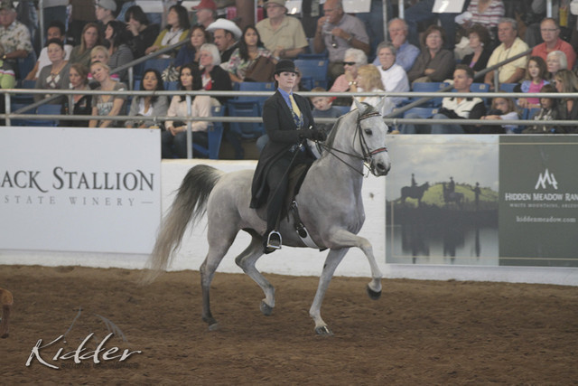 2012 Scottsdale Show Photos | Kidder Equine