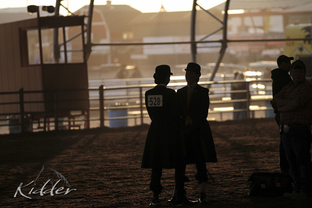 2012 Scottsdale Show Photos | Kidder Equine