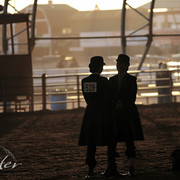 2012 Scottsdale Show Photos | Kidder Equine