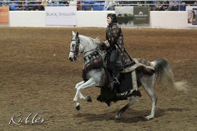 2012 Scottsdale Show Photos | Kidder Equine