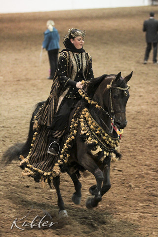 2012 Scottsdale Show Photos | Kidder Equine