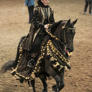 2012 Scottsdale Show Photos | Kidder Equine