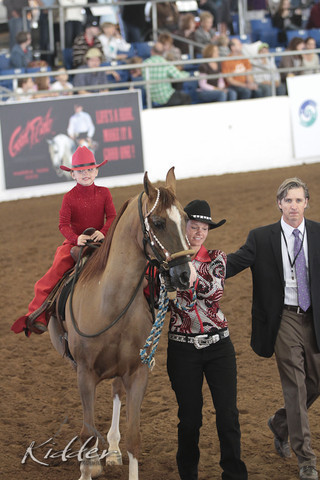 2012 Scottsdale Show Photos | Kidder Equine