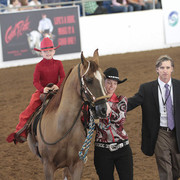 2012 Scottsdale Show Photos | Kidder Equine