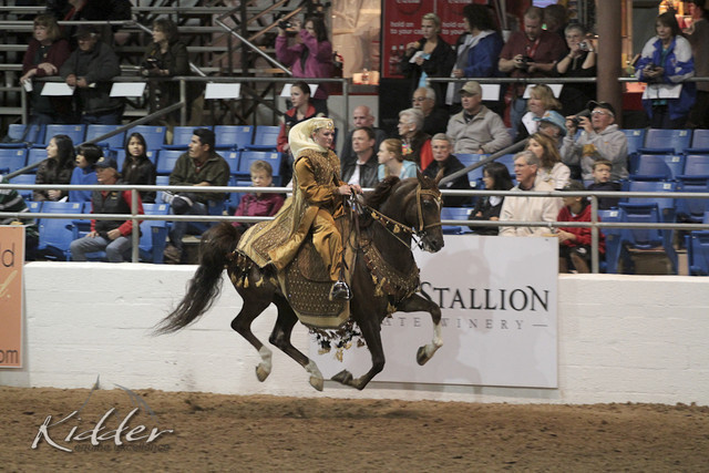 2012 Scottsdale Show Photos | Kidder Equine