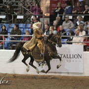 2012 Scottsdale Show Photos | Kidder Equine