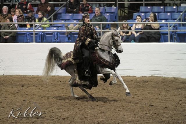 2012 Scottsdale Show Photos | Kidder Equine