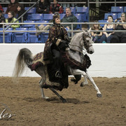 2012 Scottsdale Show Photos | Kidder Equine