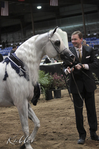 2012 Scottsdale Show Photos | Kidder Equine