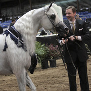 2012 Scottsdale Show Photos | Kidder Equine