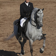2012 Scottsdale Show Photos | Kidder Equine
