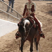 2012 Scottsdale Show Photos | Kidder Equine