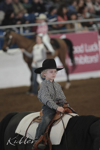 2012 Scottsdale Show Photos | Kidder Equine