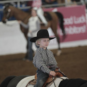 2012 Scottsdale Show Photos | Kidder Equine