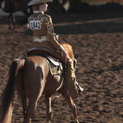 2012 Scottsdale Show Photos | Kidder Equine