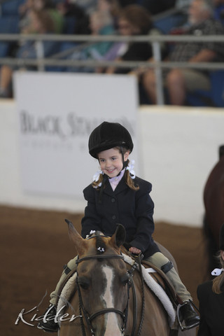 2012 Scottsdale Show Photos | Kidder Equine