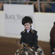 2012 Scottsdale Show Photos | Kidder Equine
