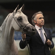 2012 Scottsdale Show Photos | Kidder Equine