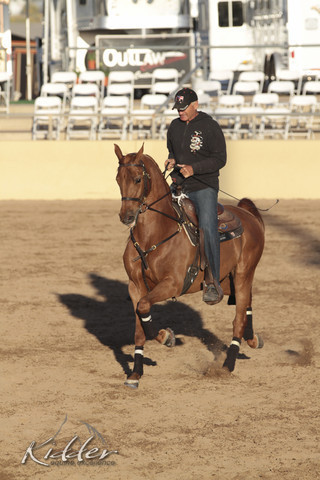 2012 Scottsdale Show Photos | Kidder Equine