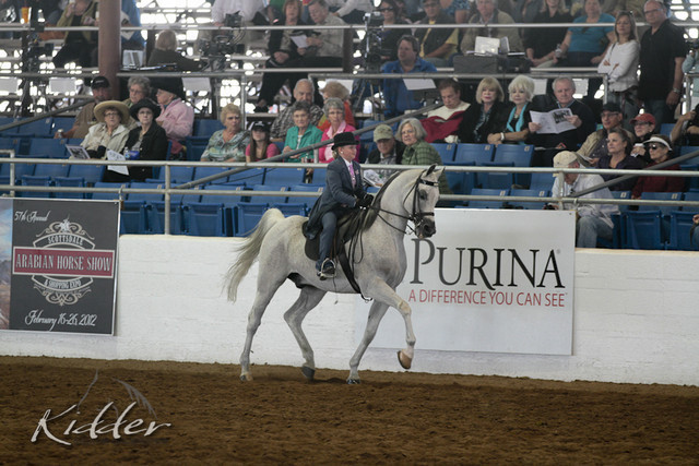 2012 Scottsdale Show Photos | Kidder Equine