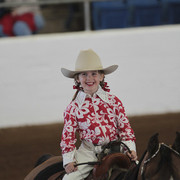 2012 Scottsdale Show Photos | Kidder Equine
