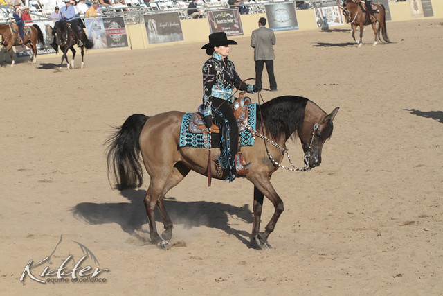 2012 Scottsdale Show Photos | Kidder Equine