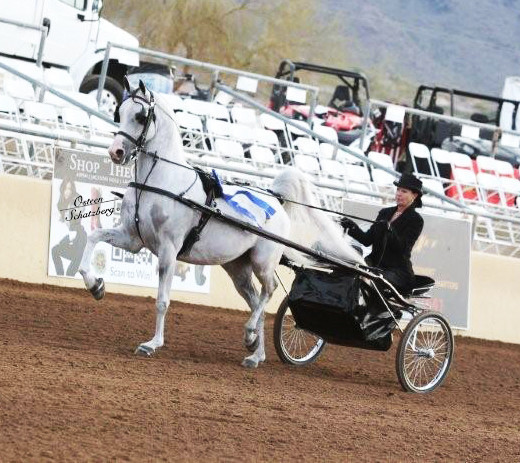 2012 Scottsdale Show | Schatzberg/Osteen