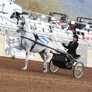 2012 Scottsdale Show | Schatzberg/Osteen