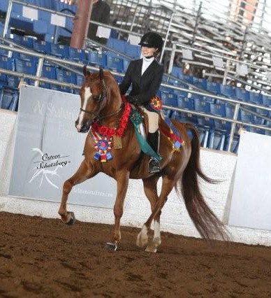 2012 Scottsdale Show | Schatzberg/Osteen