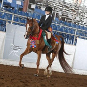 2012 Scottsdale Show | Schatzberg/Osteen