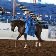 2012 Scottsdale Show | Schatzberg/Osteen