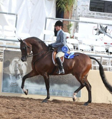 2012 Scottsdale Show | Schatzberg/Osteen