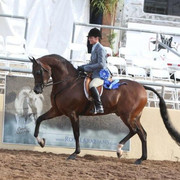 2012 Scottsdale Show | Schatzberg/Osteen