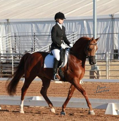 2012 Scottsdale Show | Schatzberg/Osteen