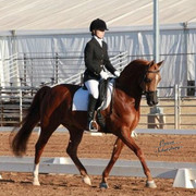 2012 Scottsdale Show | Schatzberg/Osteen